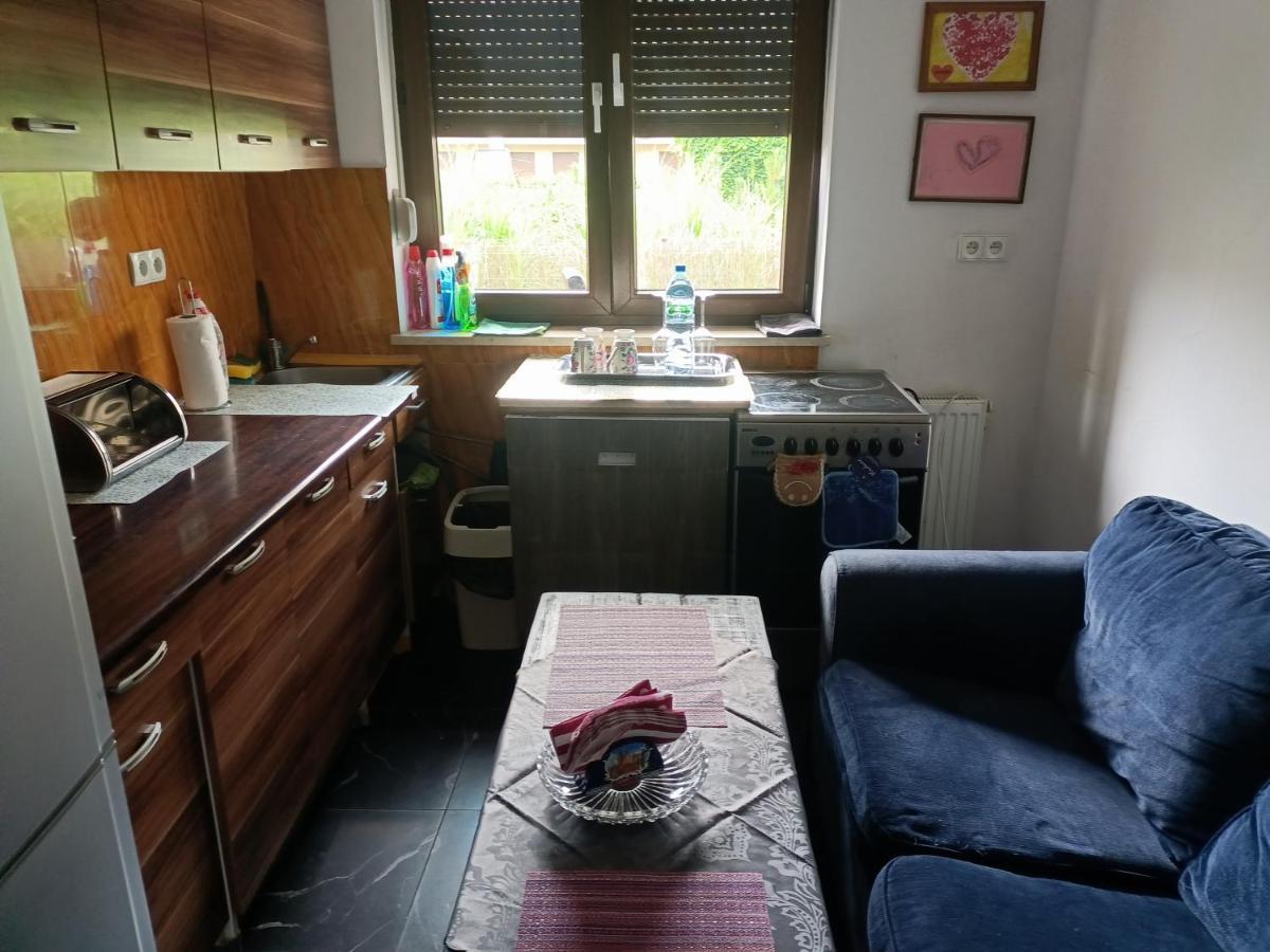Maestro Z Tarasem I Garazem Apartment Wroclaw